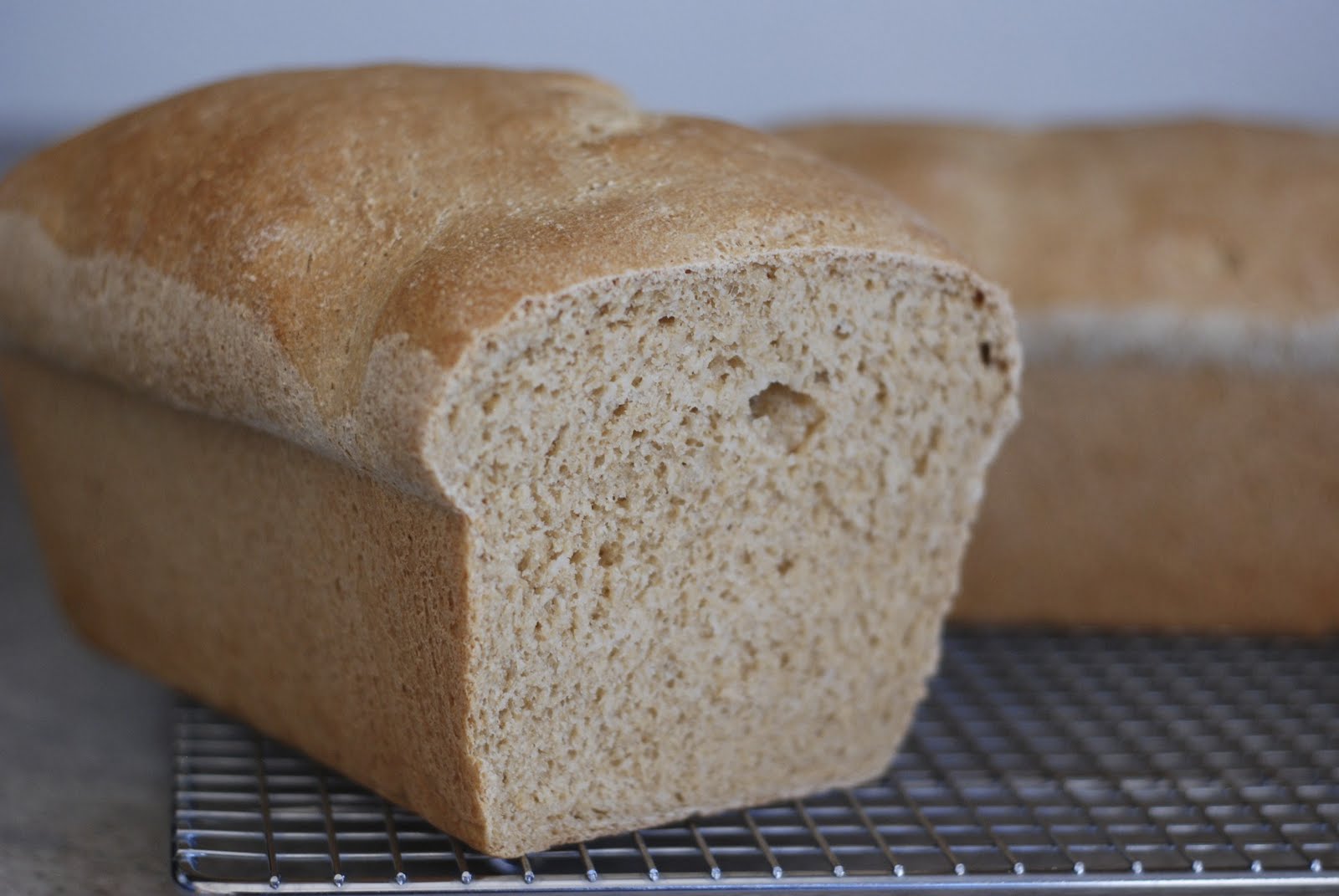 Easy & Yummy The Best 100 Whole Wheat Bread