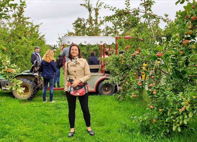 Mikä on hyvä paikka ryhmävierailulle Kilkennyssä Irlannissa Highbank Orchards omenatila