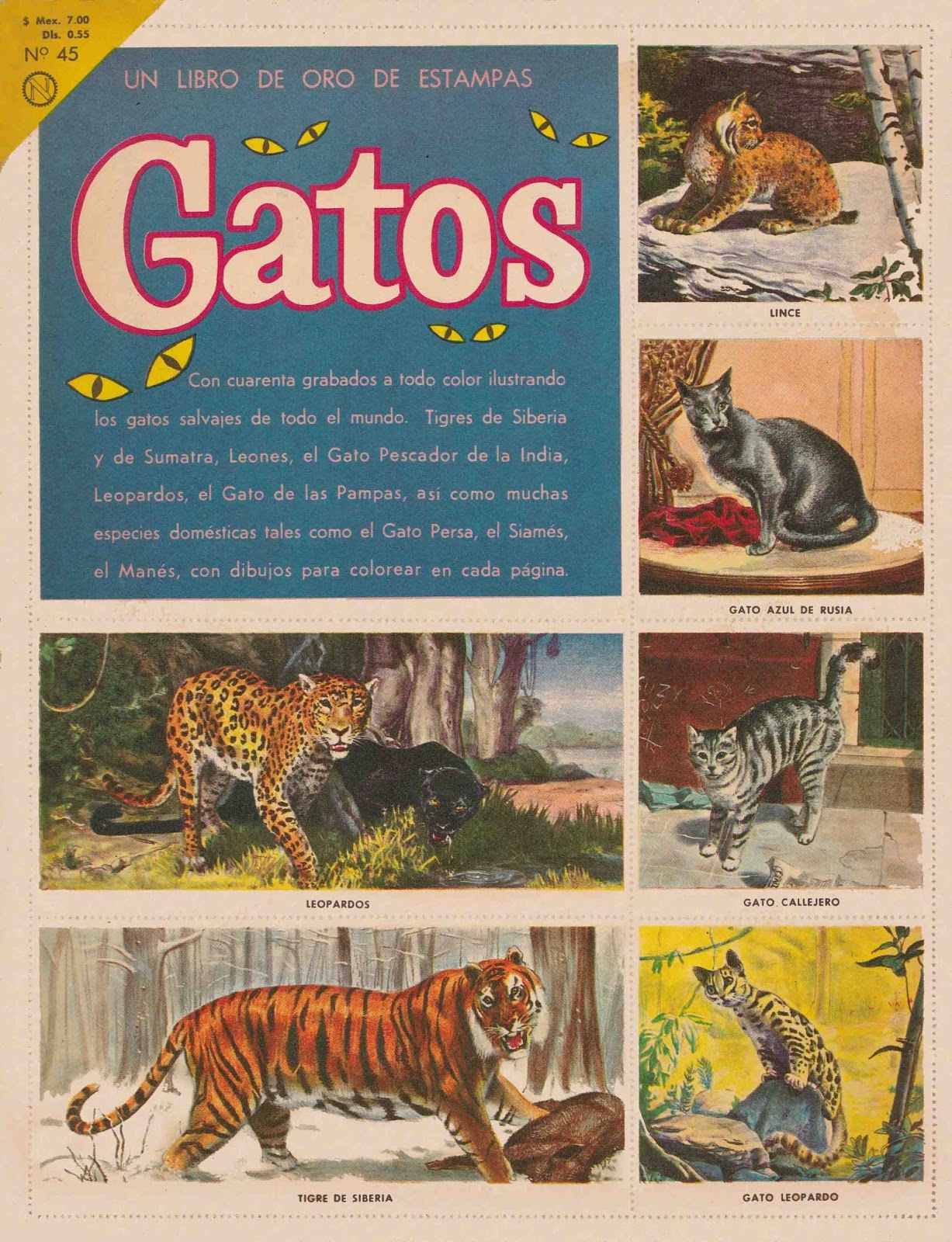 LIBRO DE ORO DE ESTAMPAS DE GATOS