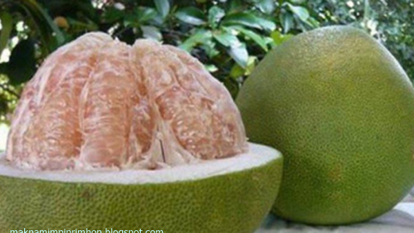 17 Makna Mimpi Melihat Buah Jeruk Bali Menurut Primbon Jawa Makna Mimpi 17 Makna Mimpi Melihat Buah Jeruk Bali Menurut Primbon Jawa Makna Mimpi