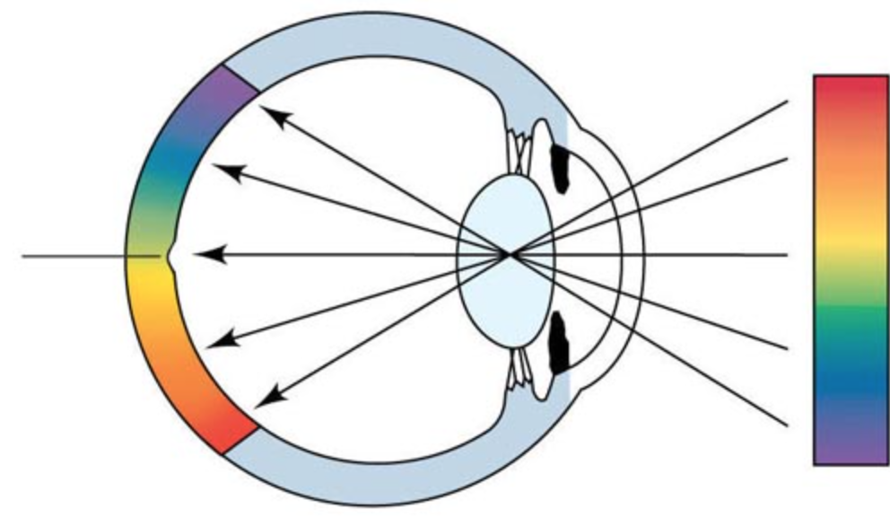 Физ око. Физическая рефракция глаза. Рефракция это в офтальмологии. Хрусталик преломляет световые лучи. Преломление лучей света в оптической системе глаза человека.