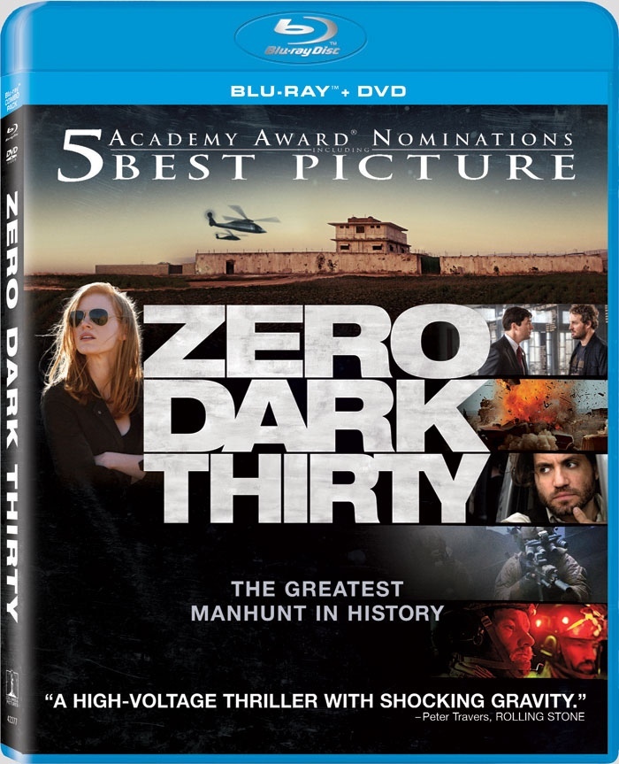 Zero Dark Thirty 2012 Hindi Dual Audio 480p BluRay 600MB x264