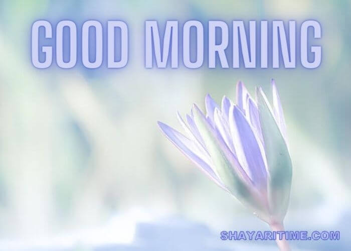 Good morning Gif