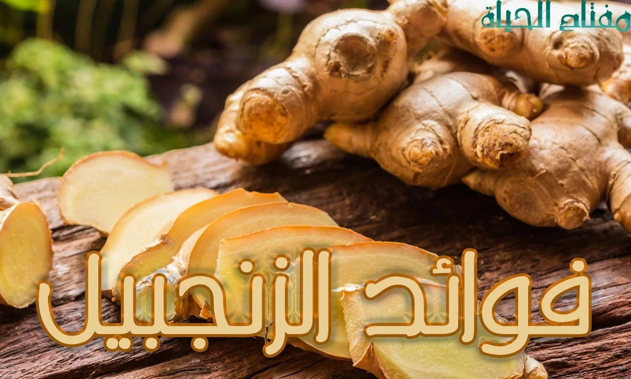 فوائد الزنجبيل تقرير كامل عن فوائد الزنجبيل الرائعة فوائد الزنجبيل تقرير كامل عن فوائد الزنجبيل الرائعة