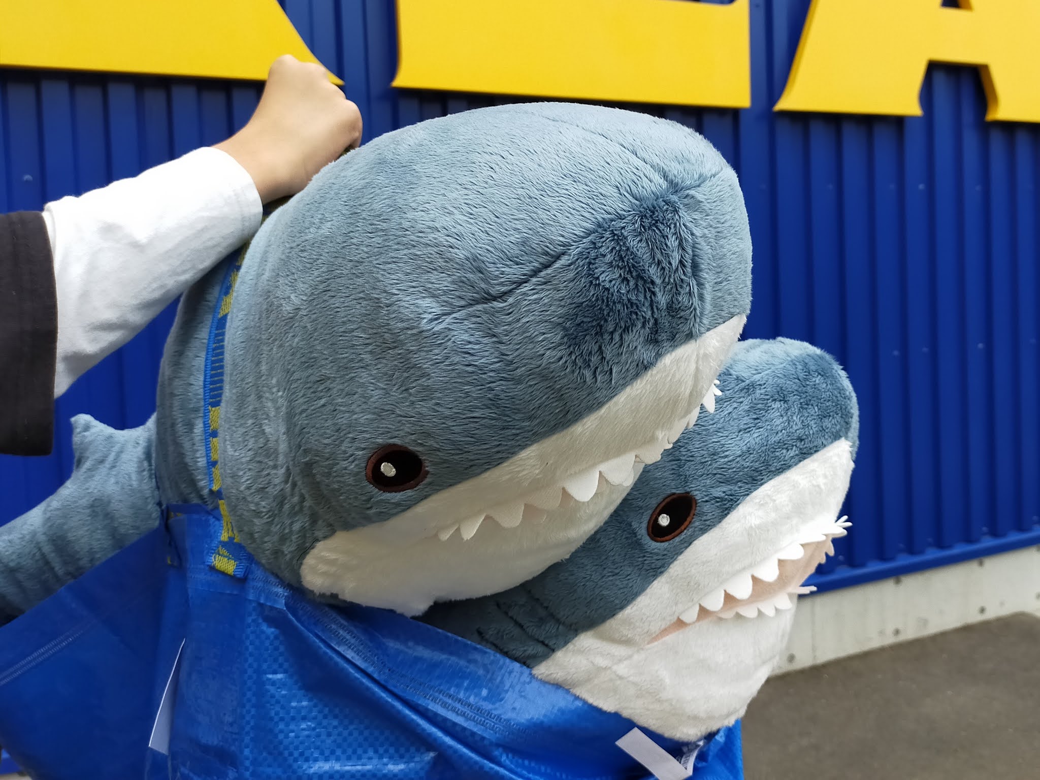 サメ ikea IKEAのサメが人気の理由とは？サメの感想と店員に聞いた入荷状況をまとめたぞ！ #IKEASHARK