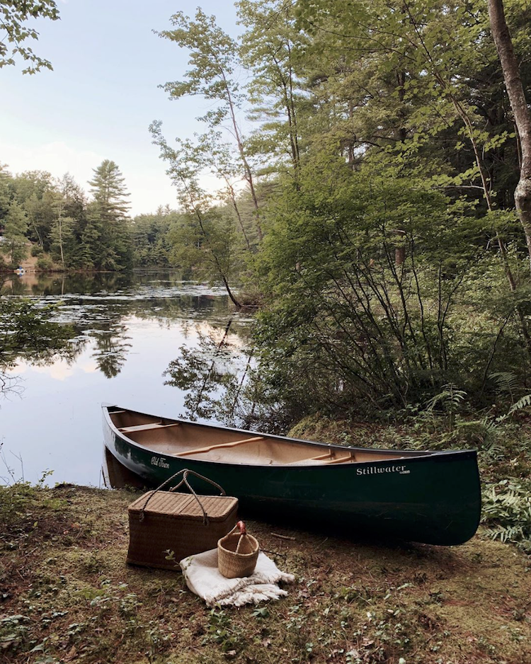 Great ideas to cultivate the Christmas tree in a pot and admire it for many more years
