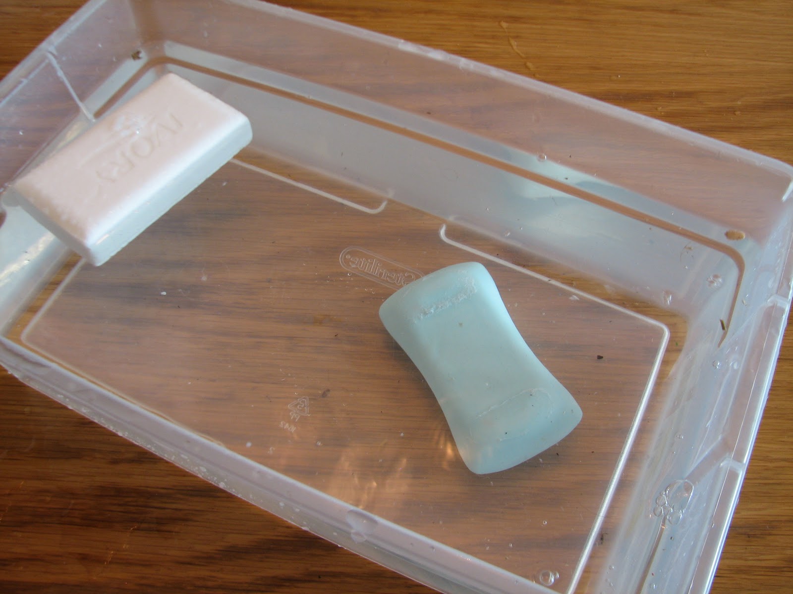 Science Matters Density Ivory Soap vs. "Other" Soap