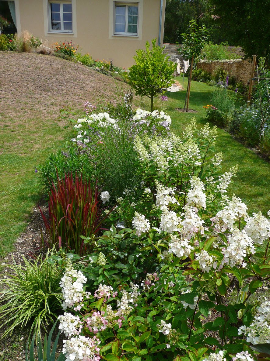Roses Du Jardin Cheneland Hydrangea Paniculata Unique