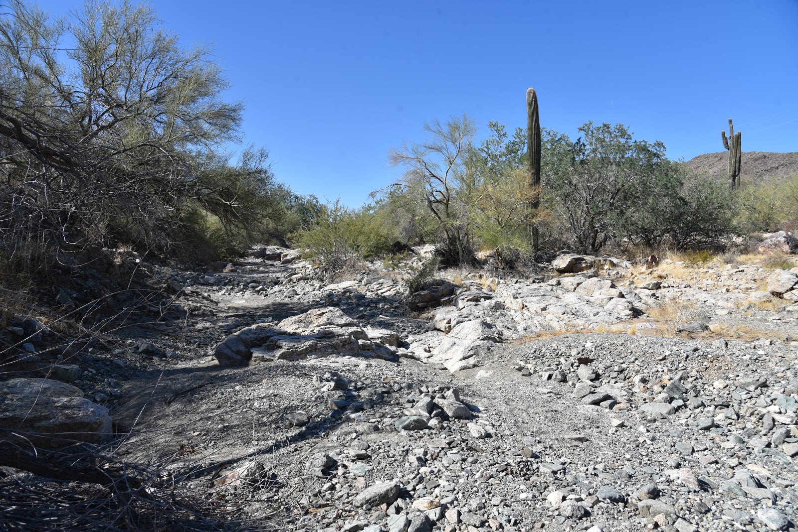 RANGER TRAIL Hike Mike