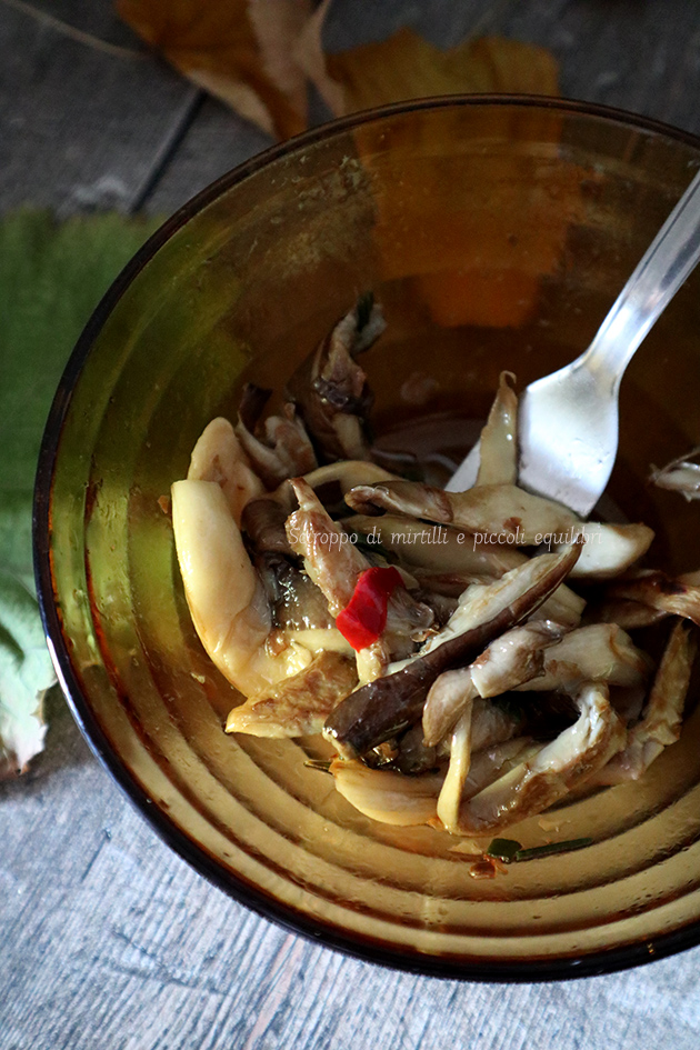 Funghi pleurotus marinati