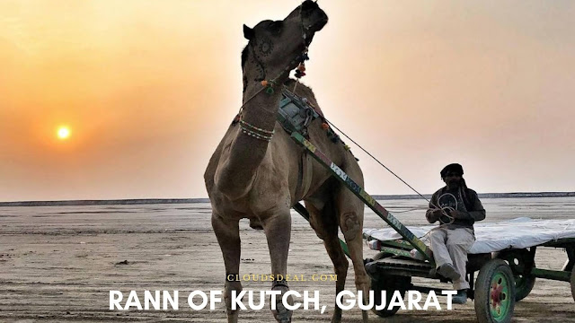 Rann Of Kutch Gujarat