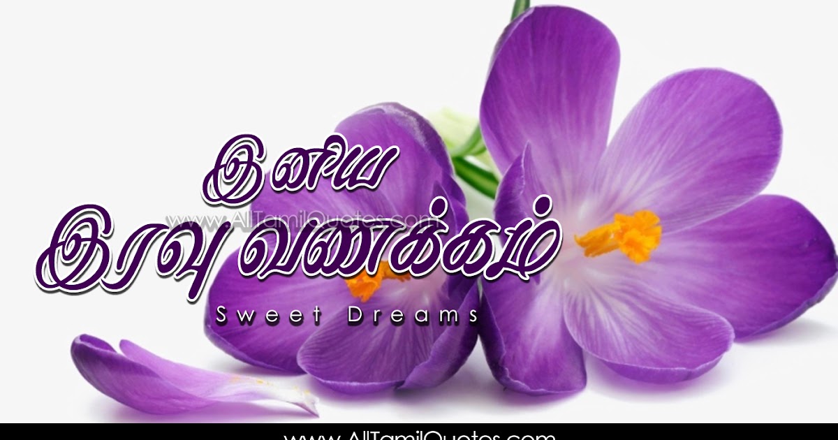 Amazing Tamil Good Night Images Top Latest New Good Night Greetings