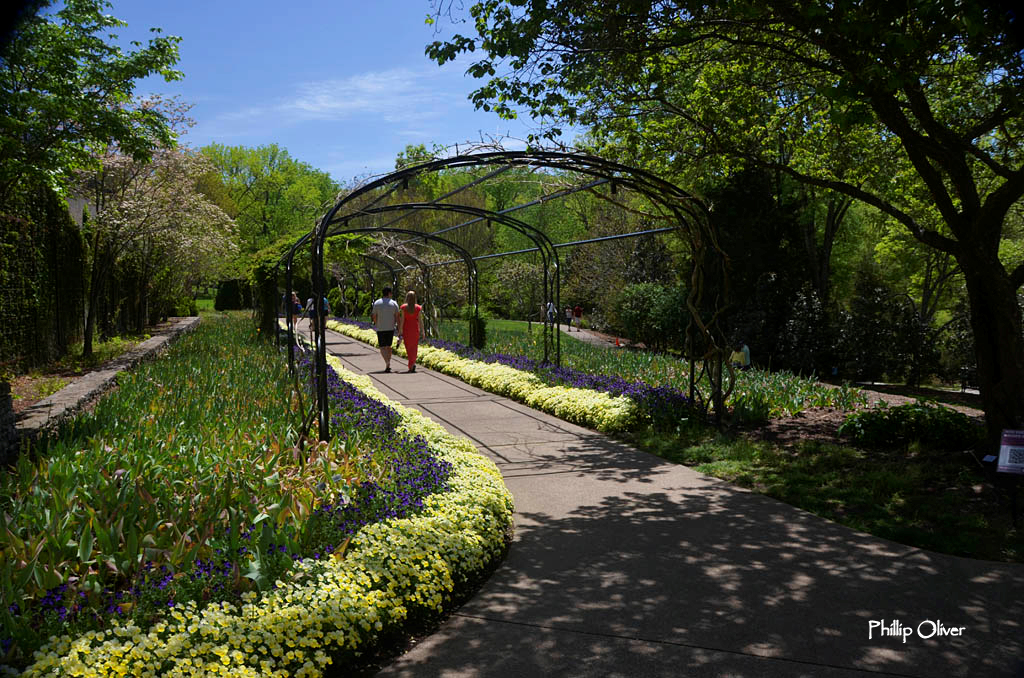 A visit to Cheekwood Gardens in Nashville