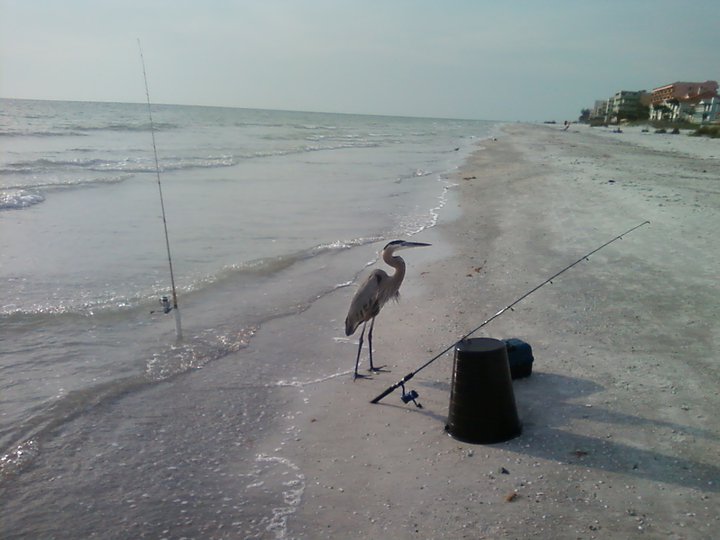 Fishing, Mother Baby Child