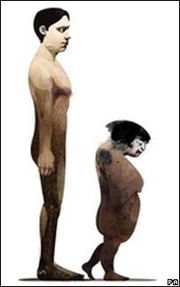 人類10萬年後演化為兩個種族圖片1