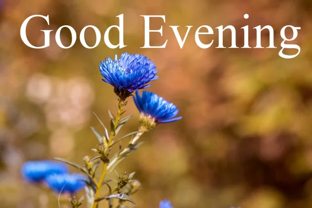 Good Evening Photo Good Evening Photo