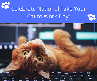 National Take Your Cat to Work Day HD Pictures, Wallpapers