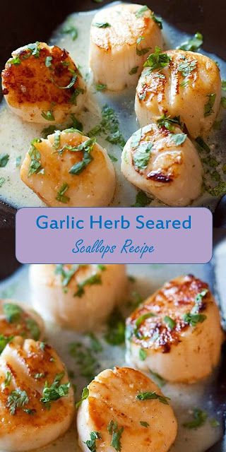 #Yummy #Garlic #Herb #Seared #Scallops #Recipe - Cooktoday Recipes