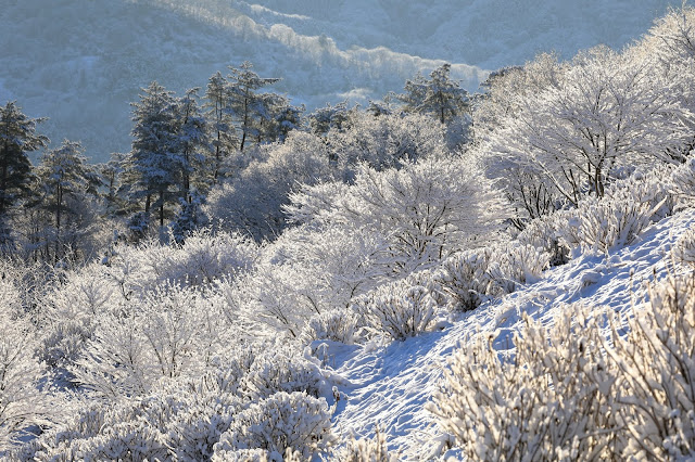 秩父　美の山公園　雪景色 晴れ ときどき 写真 。