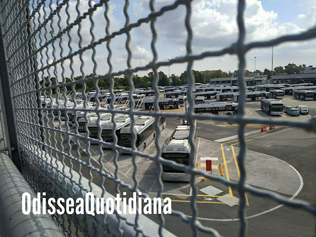 Filobus, i comitati ne certificano il fallimento: “Servizio mai decollato ed ora iniziano scuole”