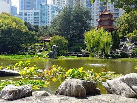 Koi Pond at Chinese Garden of Friendship Darling Harbour Sydney