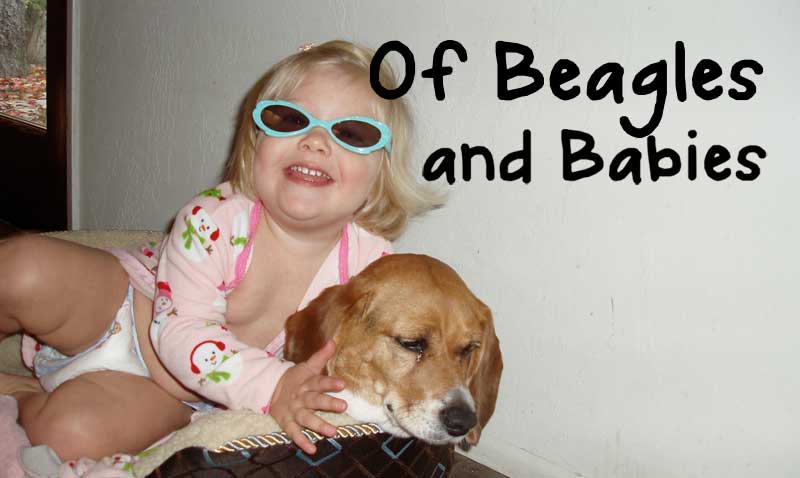 Of Beagles and Babies