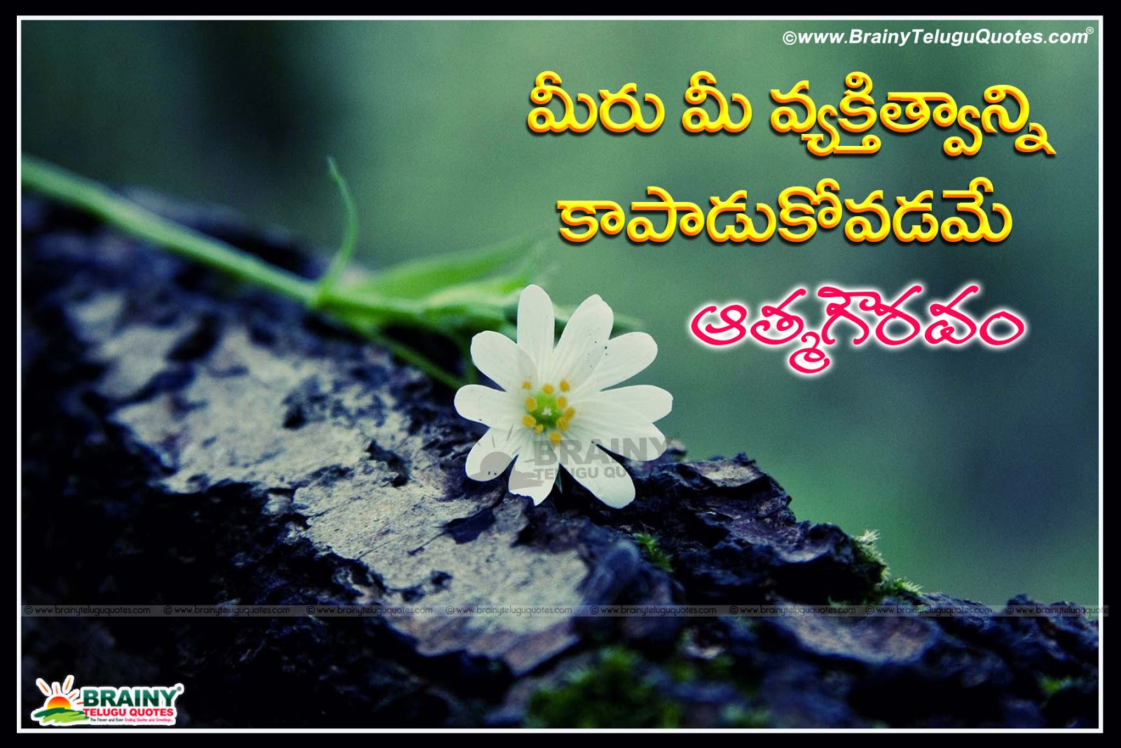 Best Telugu Inspirational Quotes Best Inspirational Telugu Quotes Inspirational Telugu Quotes Brainyteluguquotes Comtelugu Quotes English Quotes Hindi Quotes Tamil Quotes Greetings