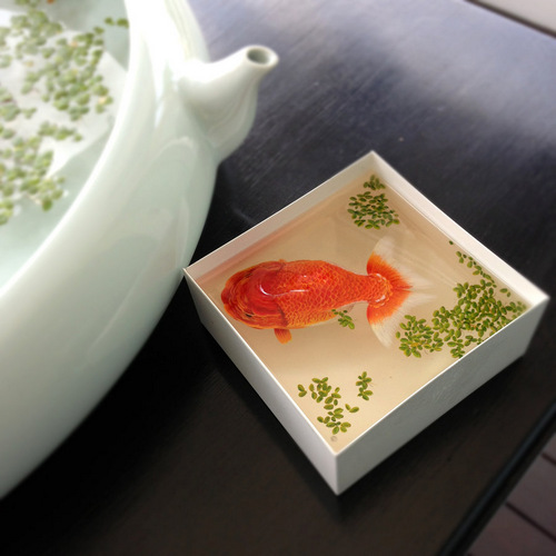 03-Ranchu-Keng-Lye-3D-Hyper-Realism-Resin-Acrylic-Painting-Sculpture-Alive-Without-Breath 