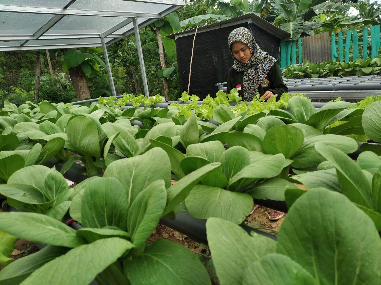 Download Soal Antropologi Kelas XII Semester Ganjil dan