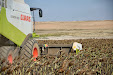 Claas Lexion 550 & Moresil GB 700 cuttebar