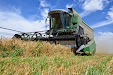 Fendt 6300 C Combine. Estero wheat