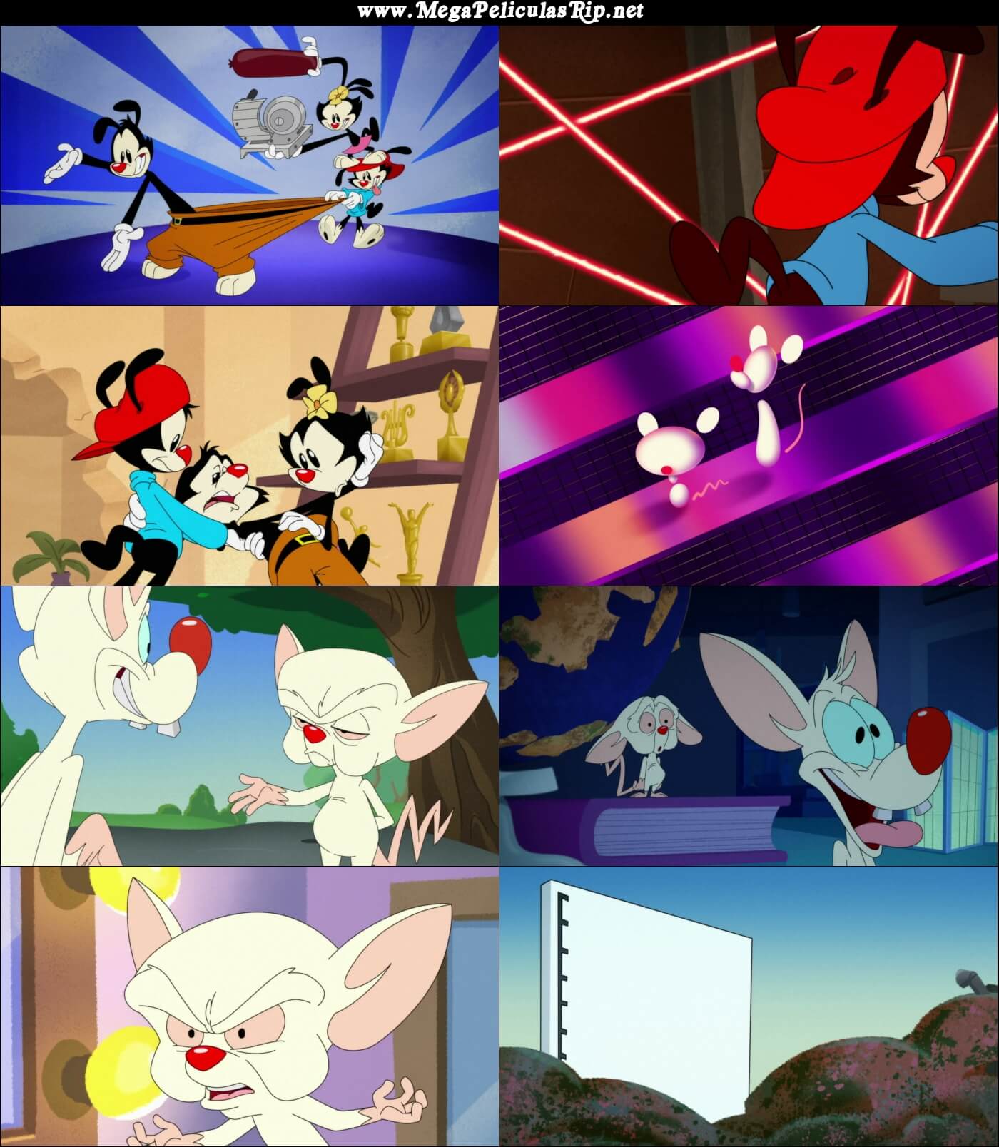 Animaniacs Temporada 1 1080p Latino