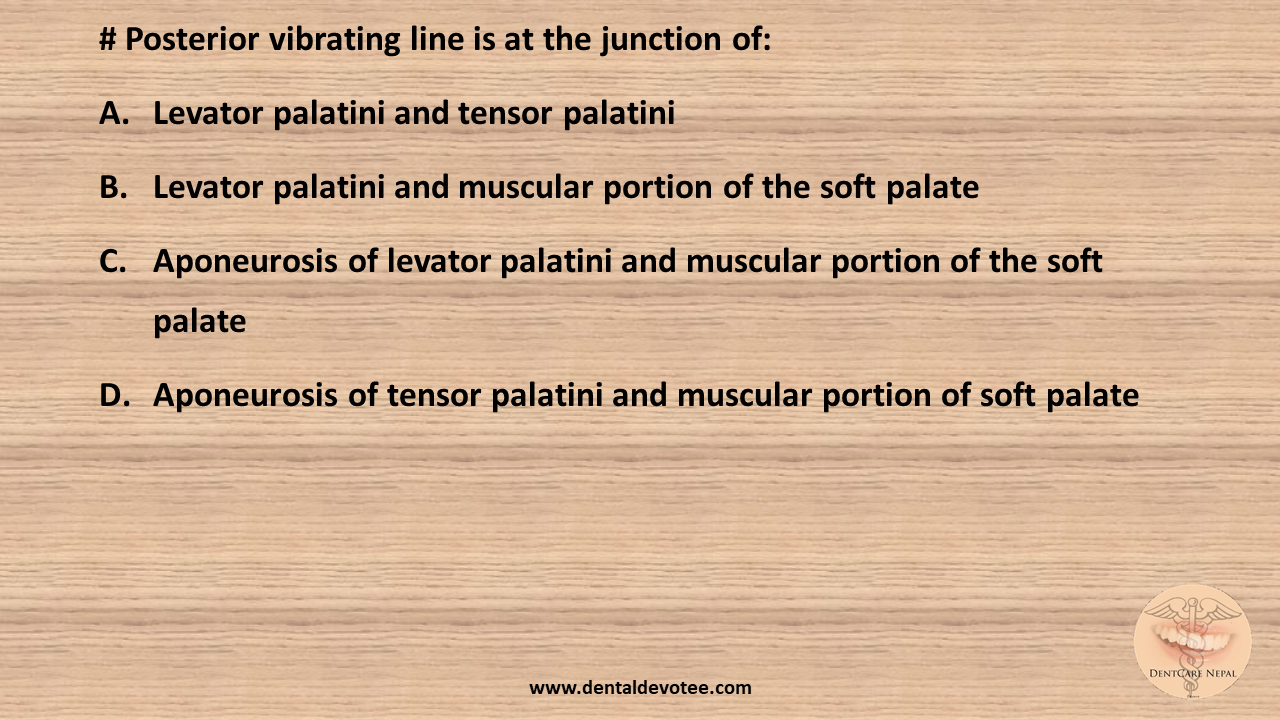Dentosphere World of Dentistry Posterior vibrating line is at the