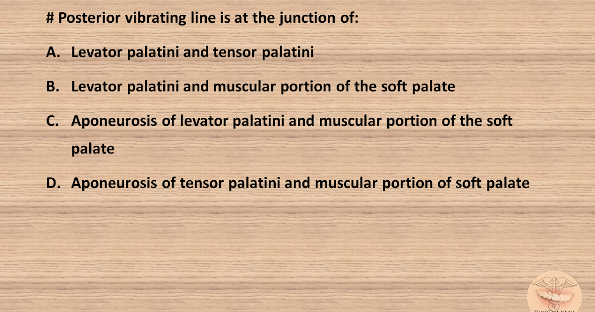 Dentosphere World of Dentistry Posterior vibrating line is at the