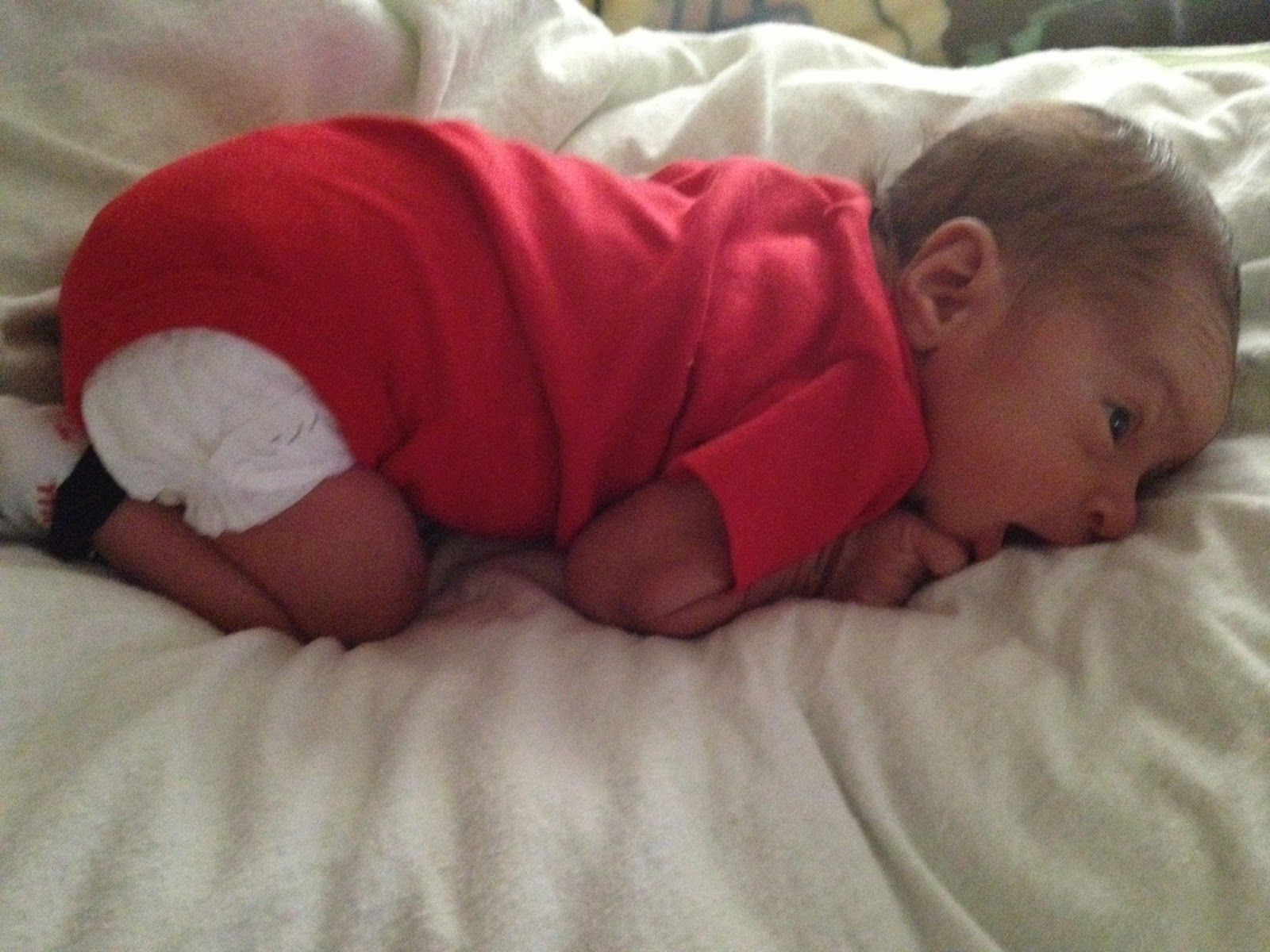 alex-francisco-jr-my-little-love-1-week-old