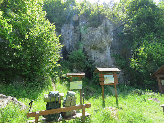 Biśnik bisnik
