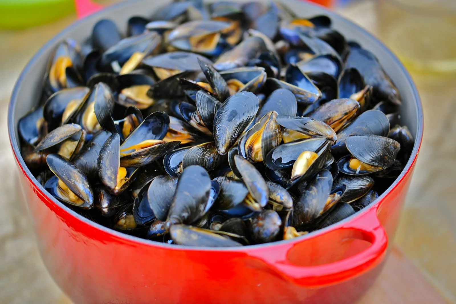 Merlin and Rebecca: Gypsy Kitchens: Moules à la Bretonne