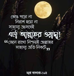 নিউ ইসলামিক পিকচার