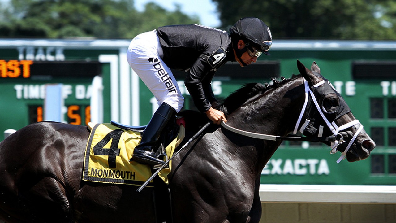 ThoroFan Blog Handicapper's Corner Kelso Stakes (G2)