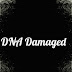 DNA Damage |  Oxidative Based Damages