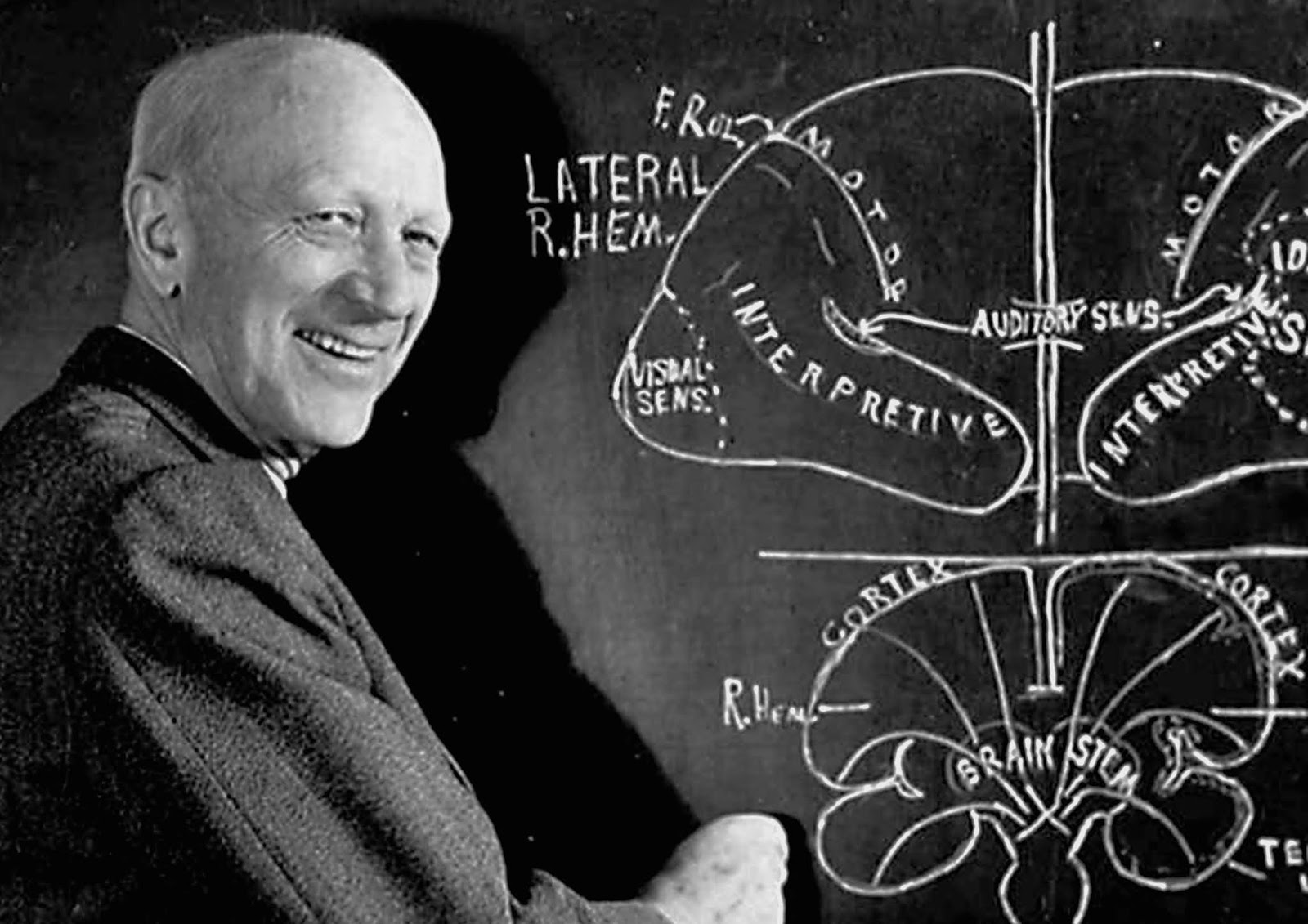 Los experimentos de Wilder Penfield