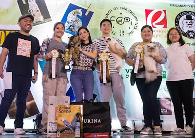 Winners of Meowcon Manila 2019 with their cats showing their cat show award ribbons Winners of Meowcon Manila 2019 with their cats showing their cat show award ribbons