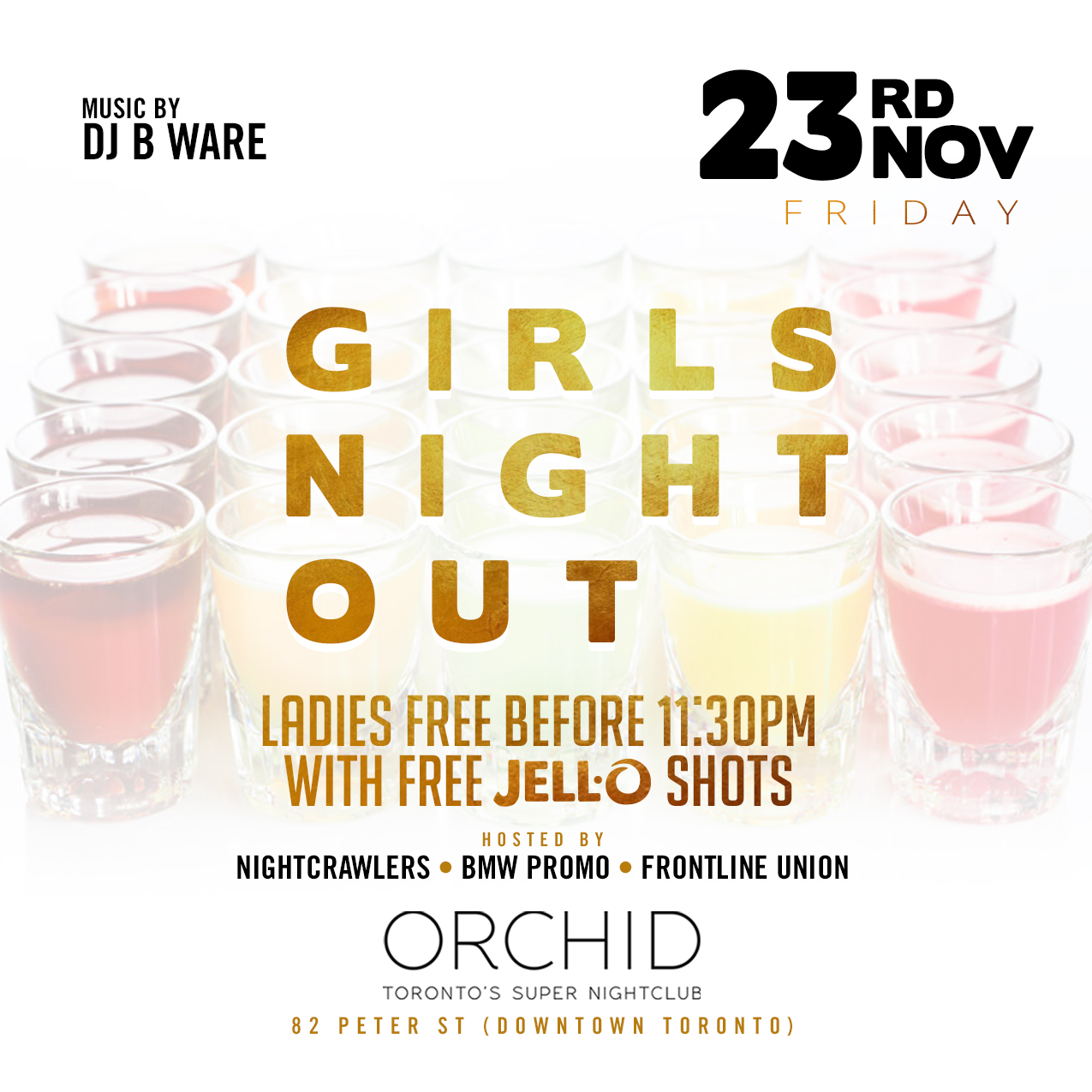 C.A. Confidential Girls Night Out Orchid, Toronto, ON Fri Nov 23rd!