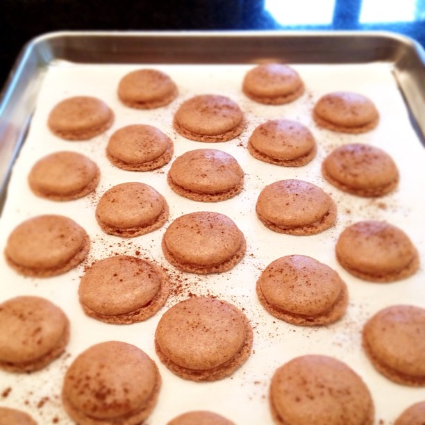 The Macaron Queen Pumpkin Cream Cheese Macaron