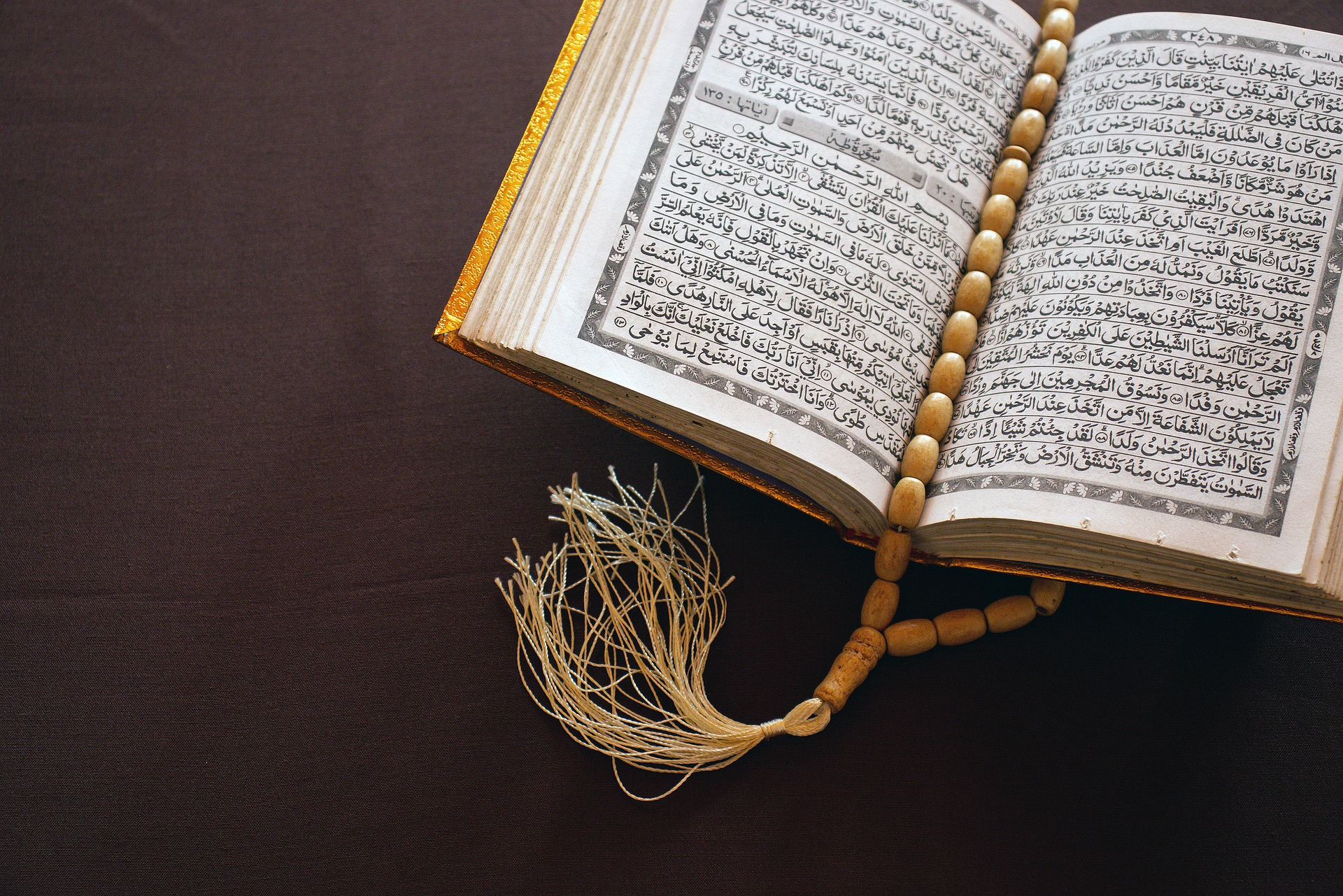 تحميل تطبيق آيات ayat افضل برنامج اسلامي للقرآن الكريم و التلاوات للاندرويد