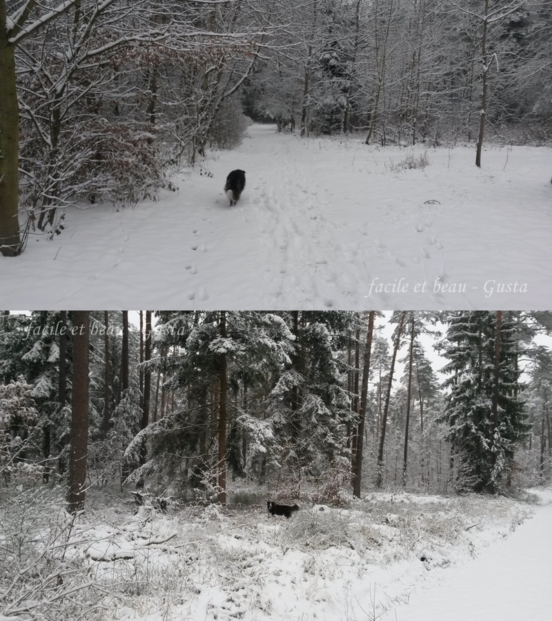 Facile Et Beau Gusta H54f Kw49 2017