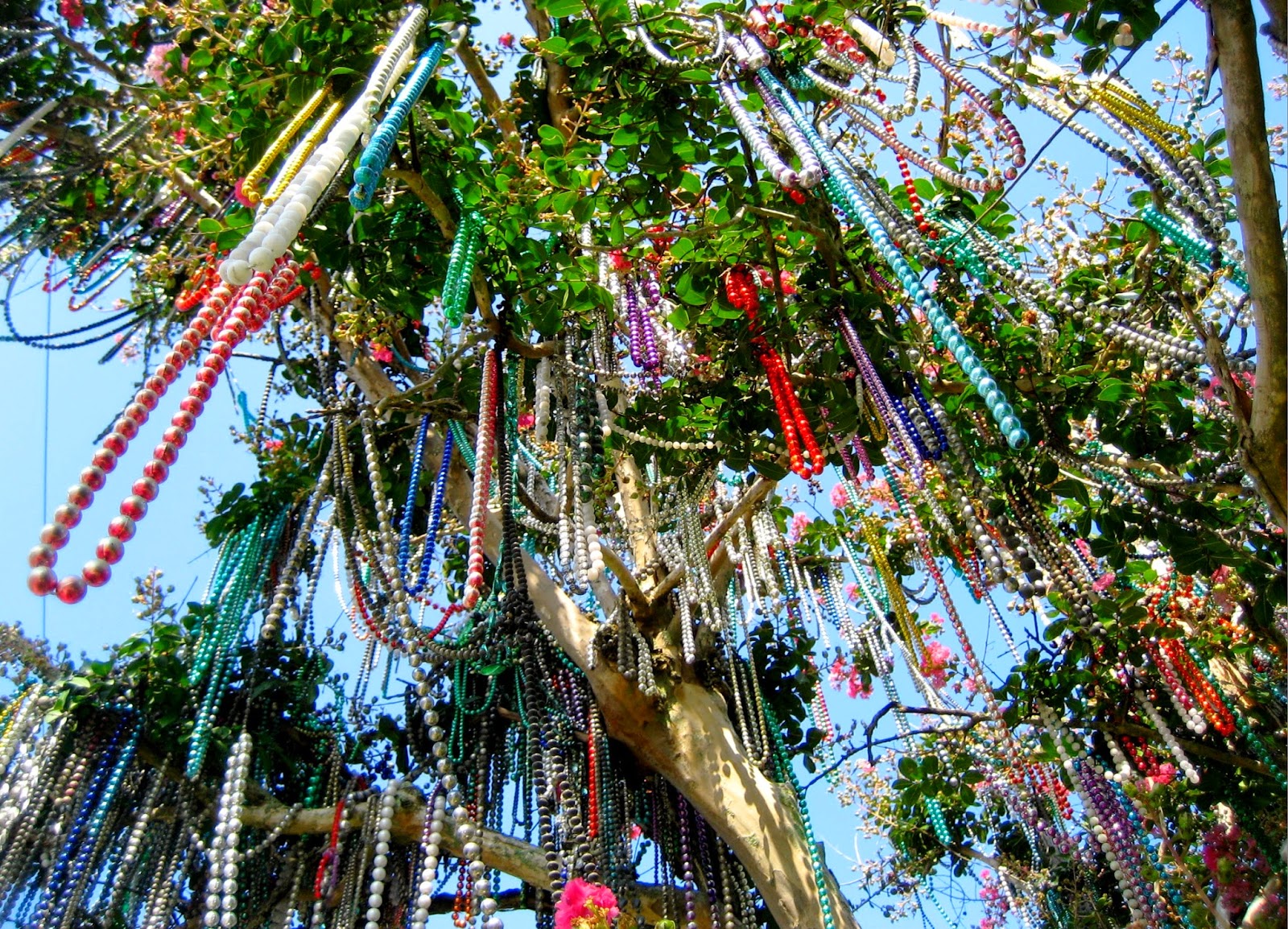 Living Rootless: Lafayette: The Mardi Gras Tree