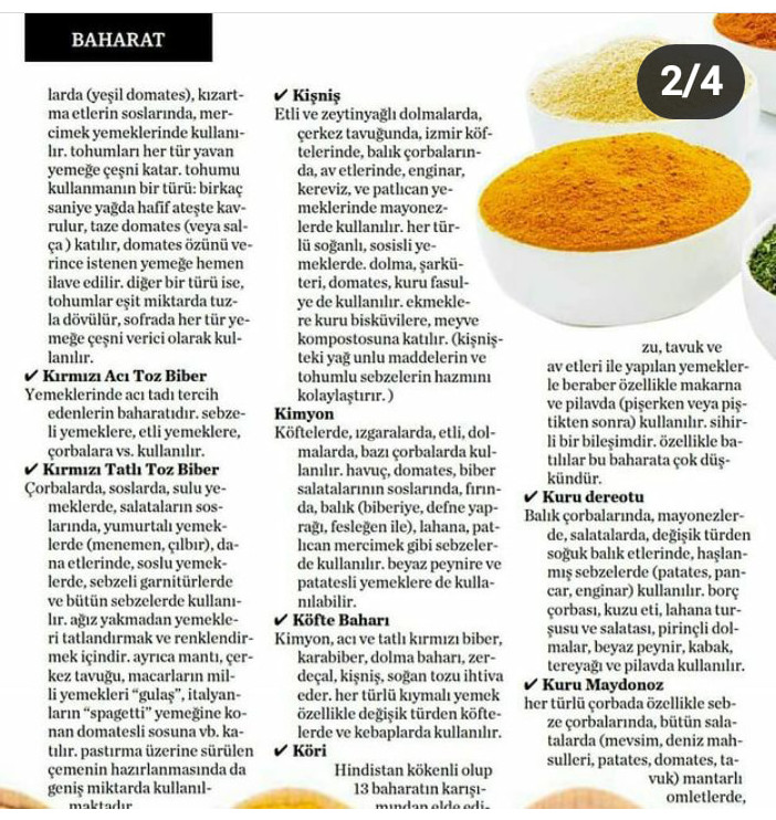 HANGİ BAHARAT NEREDE VE NASIL KULLANILIR GÜLO ANNE MUTFAKTA