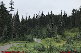 Nisqually Vista Trail Mt Rainier
