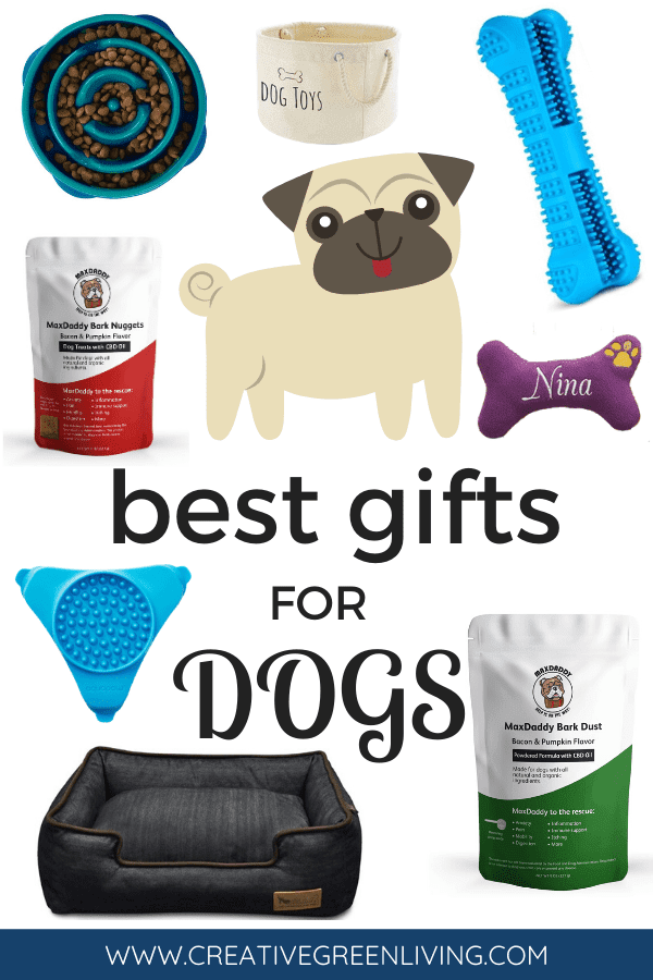 Best Dog Gifts of 2021 - Perfect Presents For Your Pooch